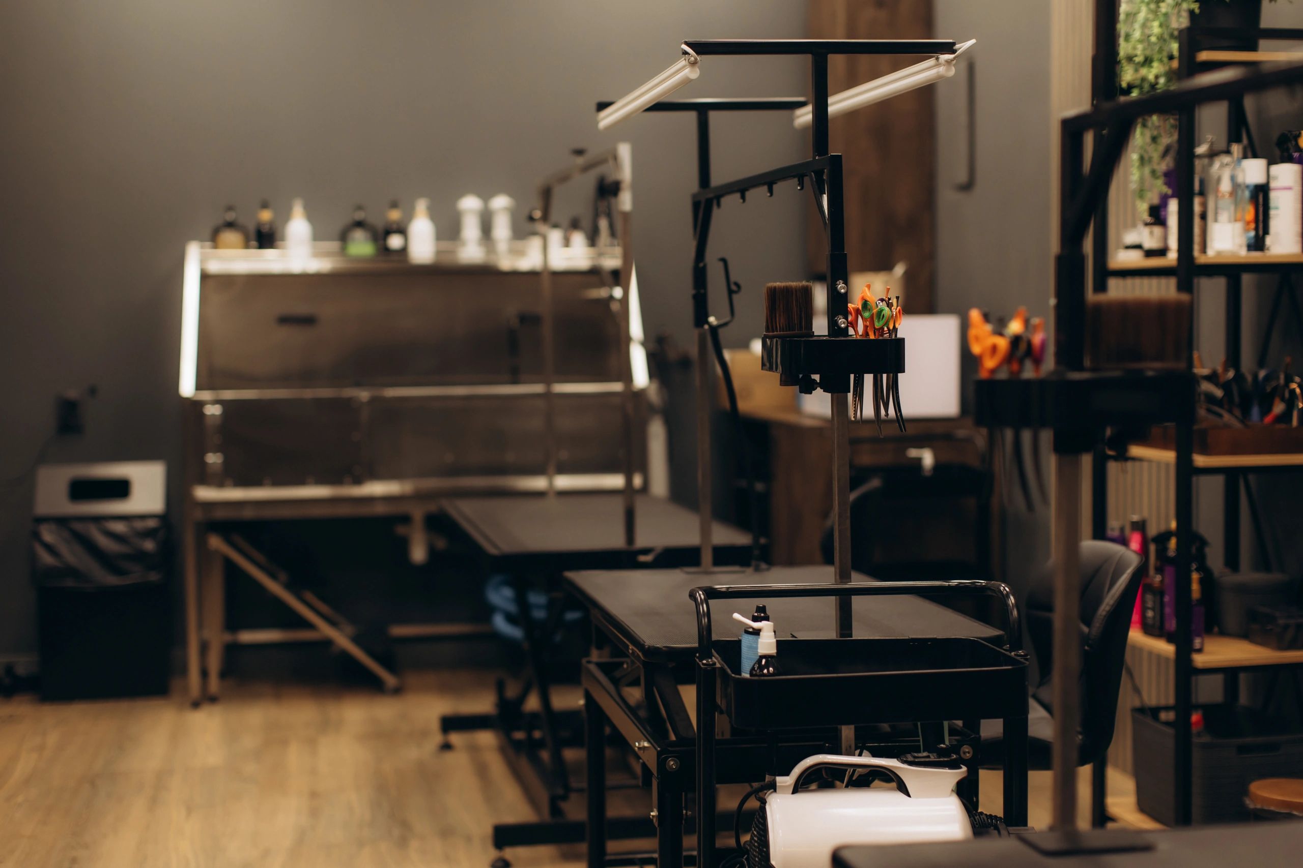 modern piercing studio dark industrial interior jewelry